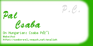 pal csaba business card